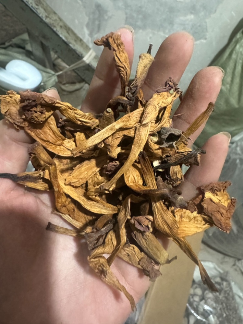 凌霄花保庆药业批发凌霄花干货凌霄花实拍