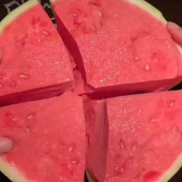 江苏盐城精品麒麟瓜，美都，4K甘美，