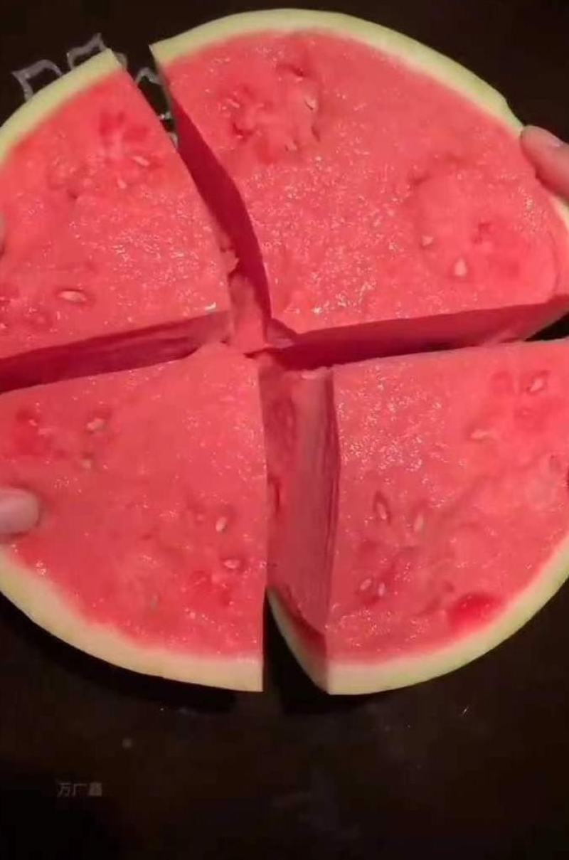 江苏盐城精品无籽麒麟瓜，美都，4K甘美，瓜瓤鲜红，汁多爽口