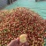 珍珠枣油桃湖北露天油桃毛桃品种多日供二十万斤品质保证