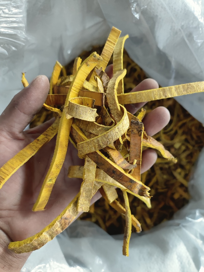 四川黄柏丝无硫，精品双面黄