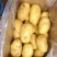 鲜土豆荷兰十五土豆三模土豆大量上市中，有需要的联系我，