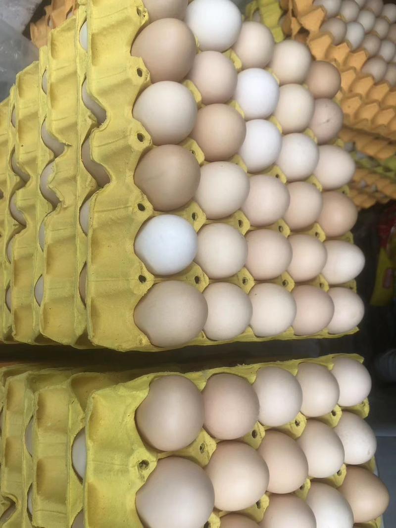 精品鸡蛋土鸡蛋一手货源130一箱360枚净重45斤