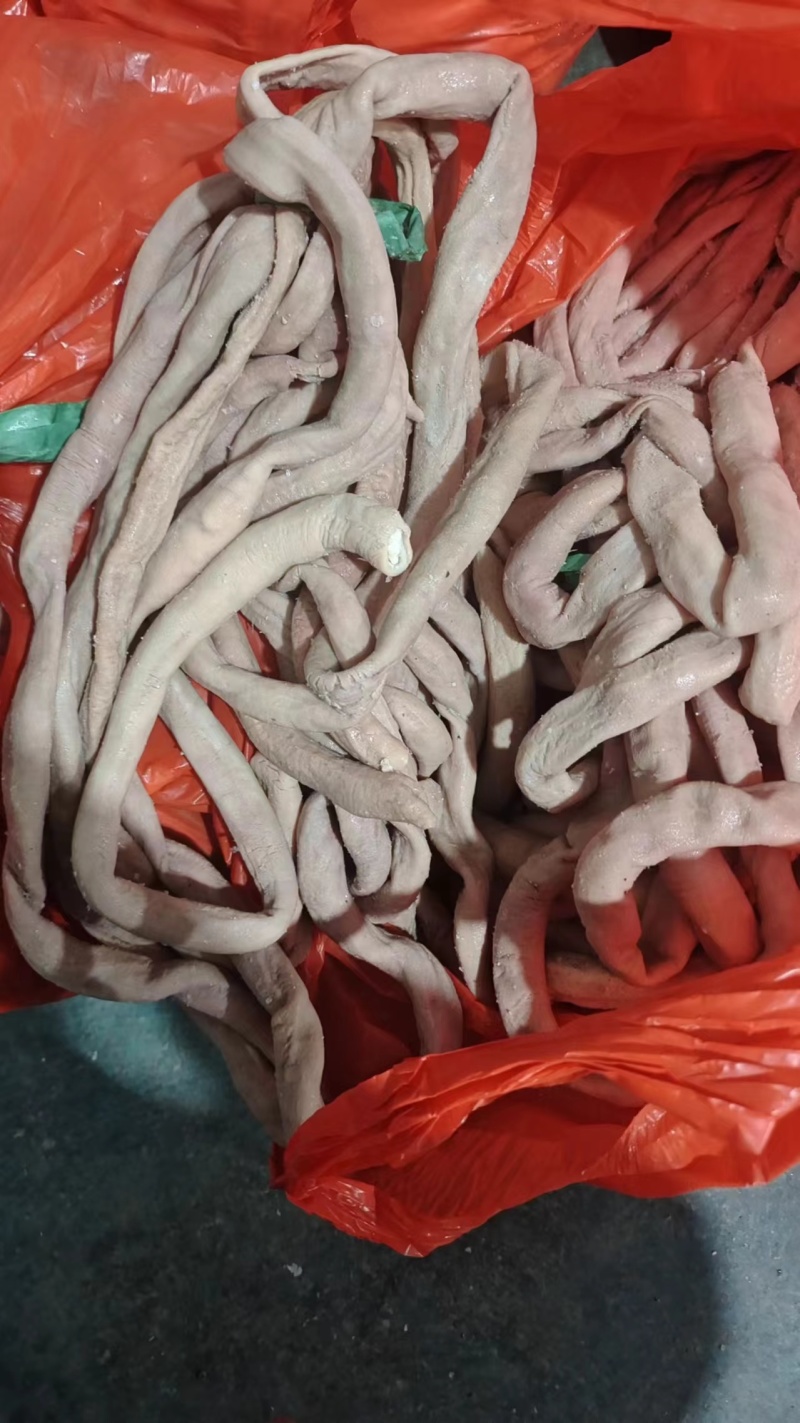 纯干熟牛肠质量保证现货供应中