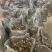 福建，芋子新鲜，白芽芋头红芽芋毛芋电商产地直销