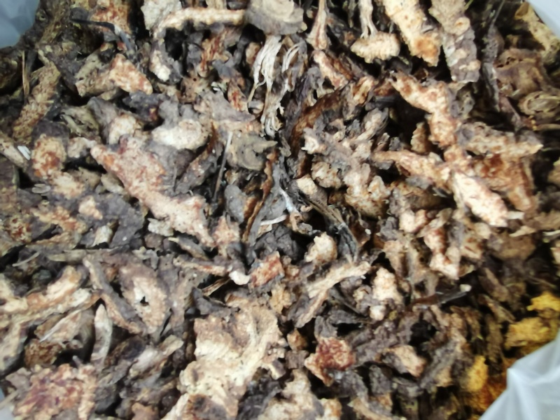 羌活系野生货