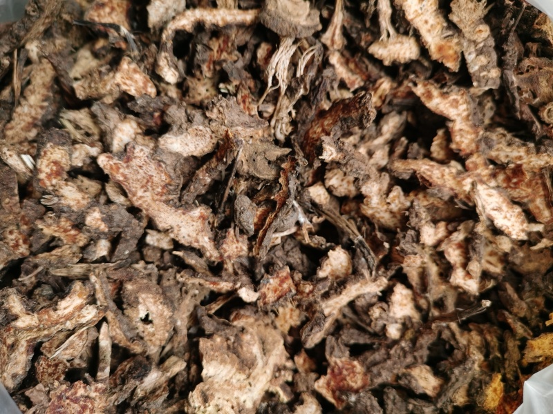 羌活系野生货