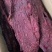 猪肉大块肉麻辣五香大块肉地摊展会
