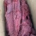 猪肉大块肉麻辣五香大块肉地摊展会