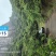 2025年正宗仙居东魁杨梅即将上市