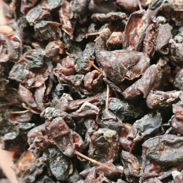 预售山芋肉这是陈东货颜色有点暗介意慎拍