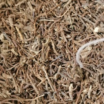 龙胆草