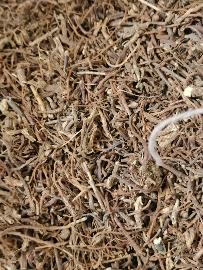 龙胆草