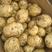陕西汉中优质黄心土豆，现货三两起步，价格便宜量大从优！