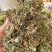 蒲公英野生蒲公英个山东七彩百草中药材批发多种规格