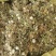 蒲公英野生蒲公英个山东七彩百草中药材批发多种规格