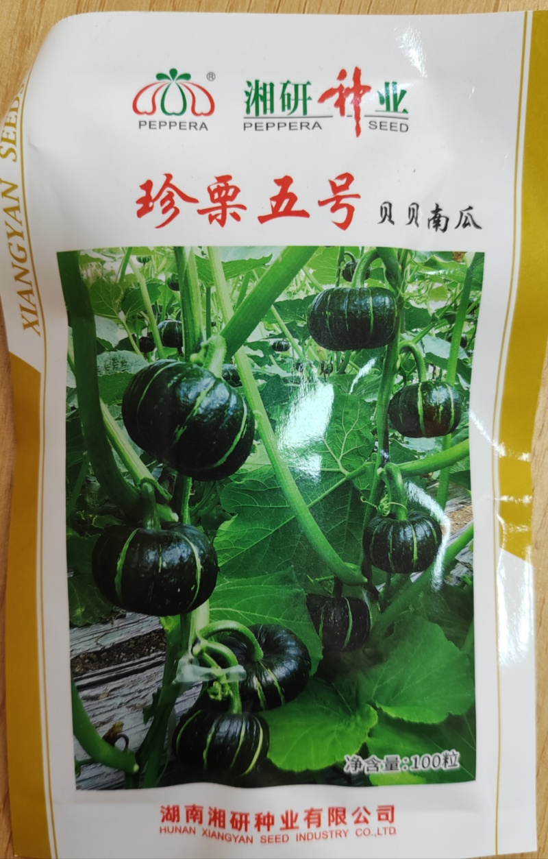 杂交一代扁圆形皮深绿肉橘黄耐储运