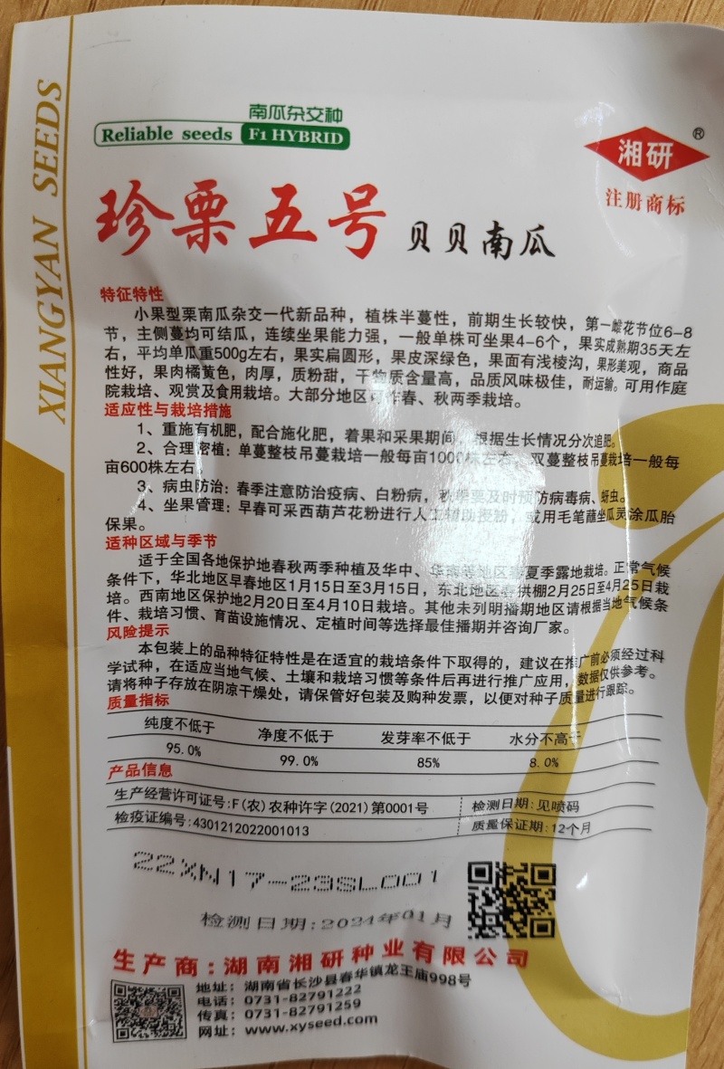 杂交一代扁圆形皮深绿肉橘黄耐储运