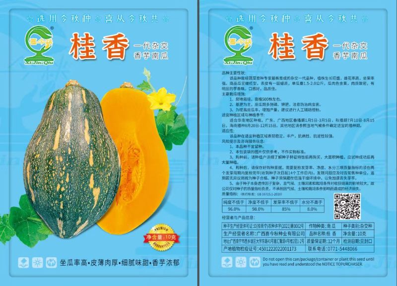 杂交一代瓜呈橄榄型肉色金黄芋香味浓