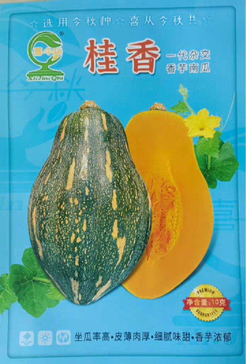 杂交一代瓜呈橄榄型肉色金黄芋香味浓