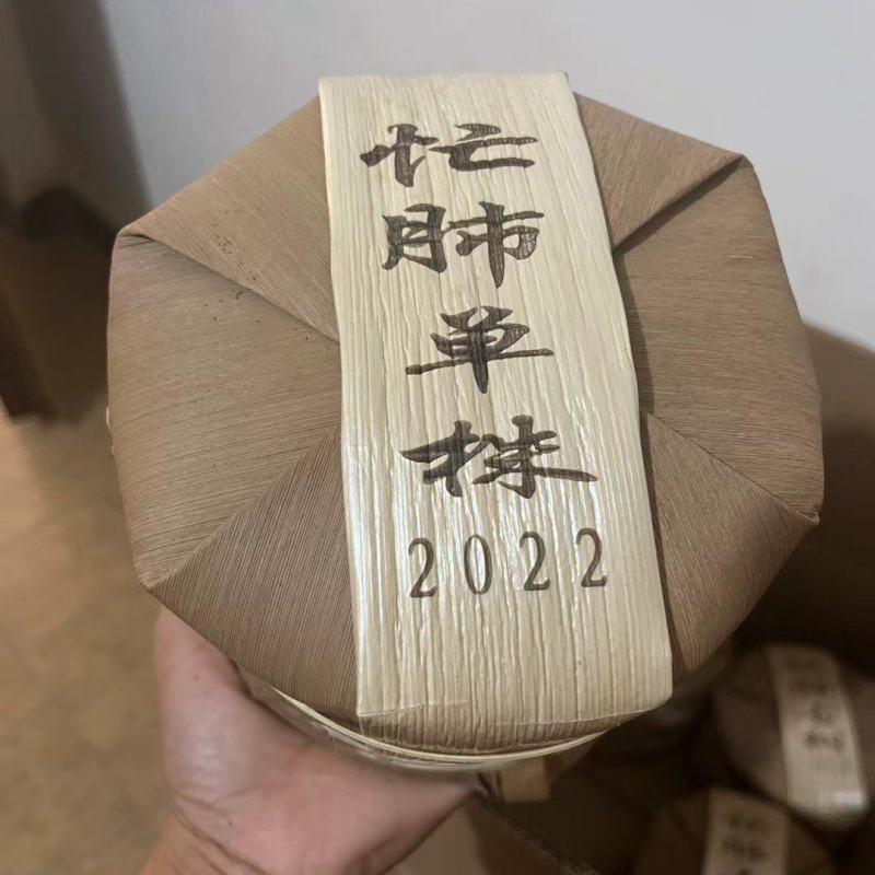 22年忙肺古树單株