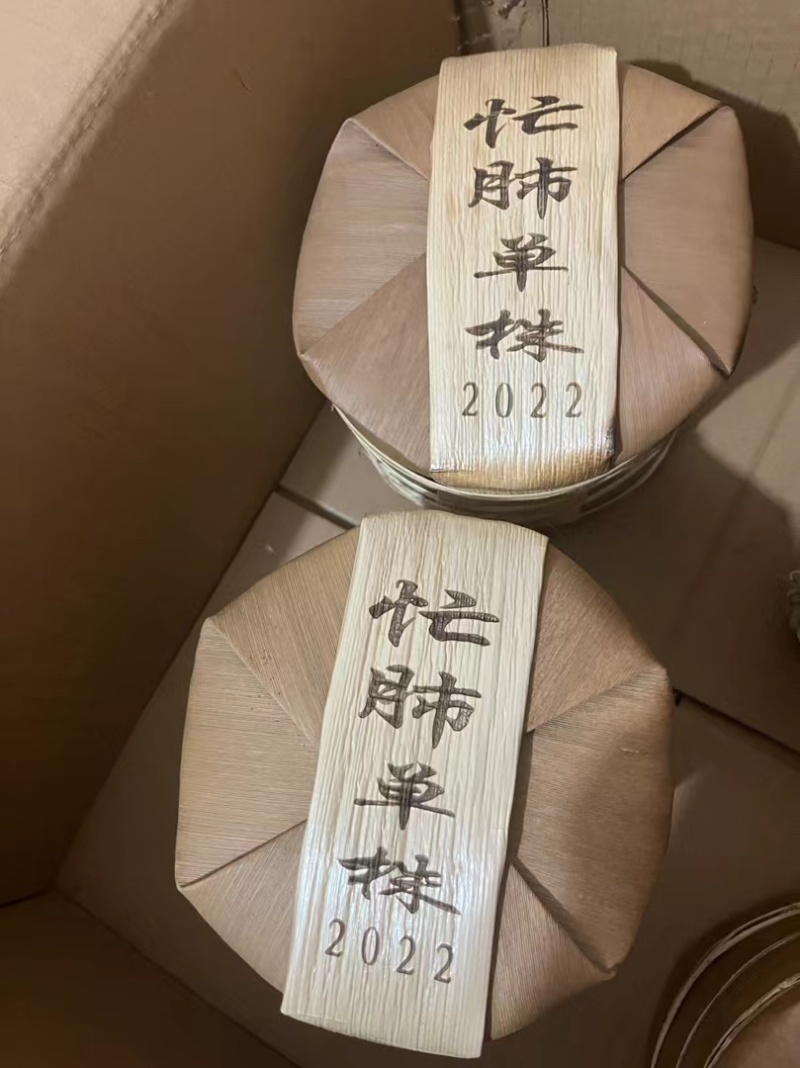 22年忙肺古树單株