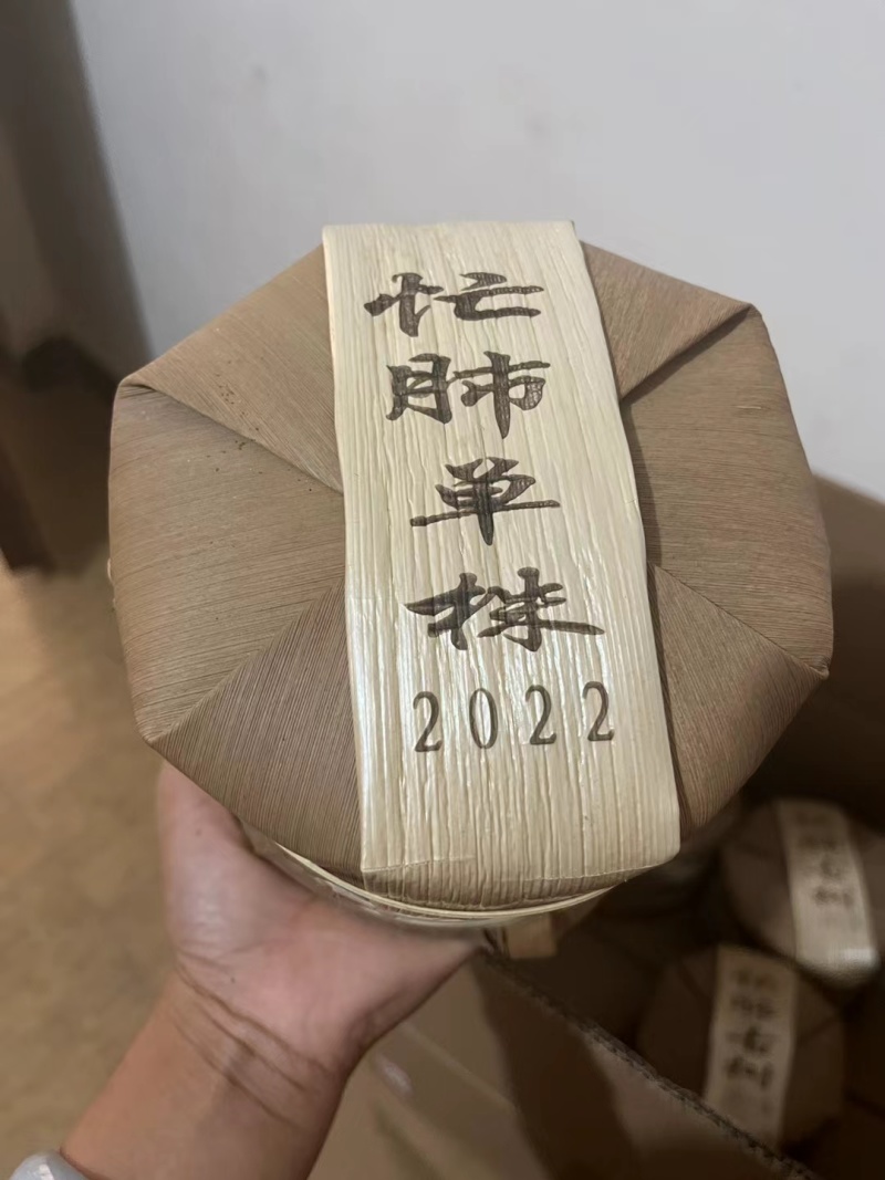 22年忙肺古树單株