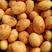 精品黄心土豆中货:2~4两，万亩基地，质优价廉。