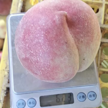 【桂林黄桃】桂林精品黄桃大量供应产地一手货源