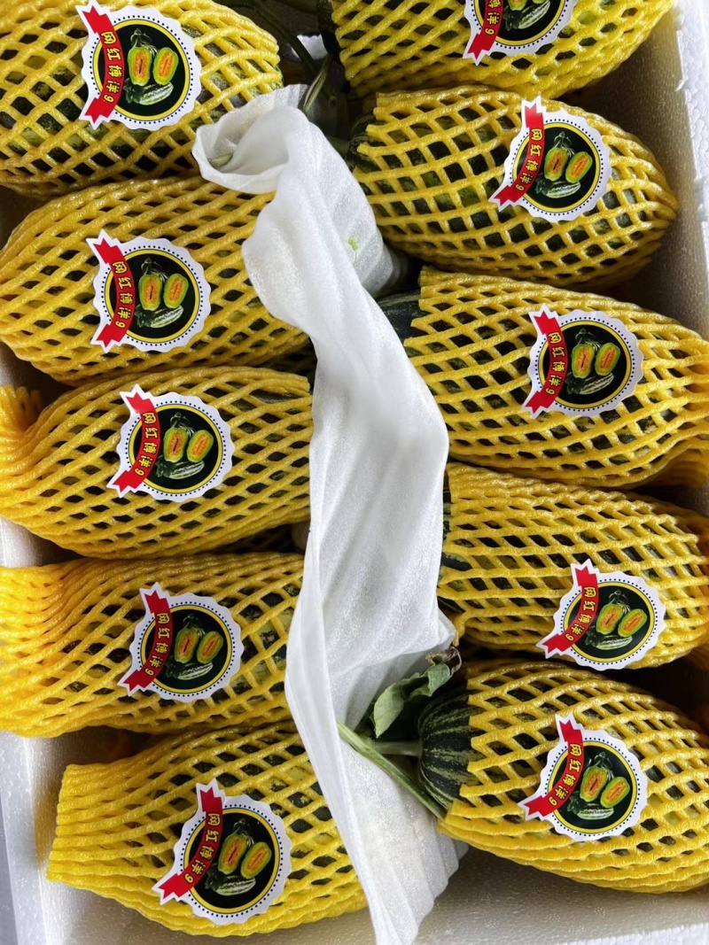 博洋九一甜瓜，大量现货。对接电商，超市，各大批发市场。