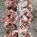 满肉猪胫骨，4.95/斤，带肉多达60%，一件20斤