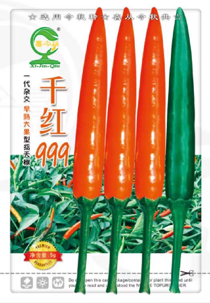 早熟大果型杂交一代耐寒青红两用