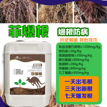 菲爆根，有益活菌代谢物1200g/kg,有机碳50g/k