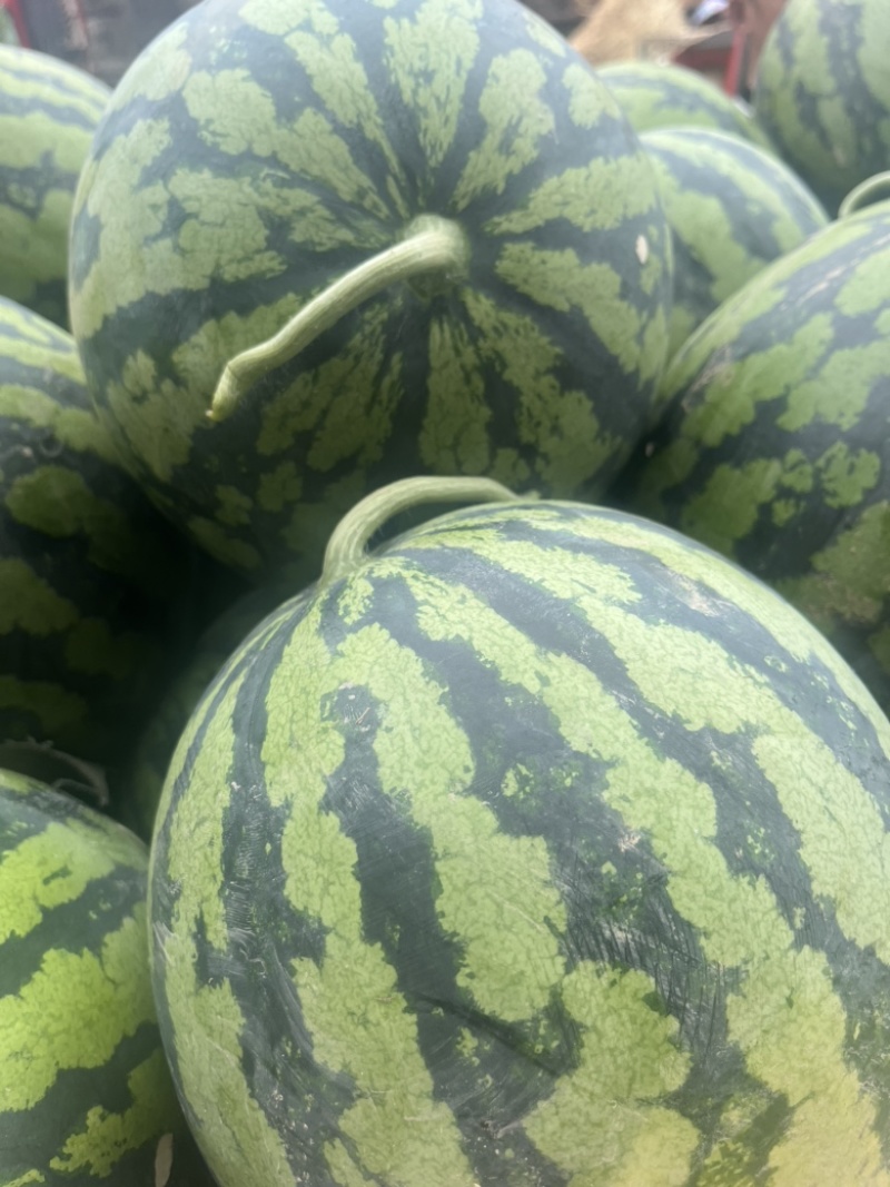 （优质）甜王西瓜🍉皮薄、糖度高、产地发、质量保证、代发全国