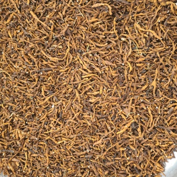 九节菖蒲产新水洗干货产地上新批发零售量大从优