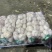 精品紫皮蒜大蒜产地直发精品加工包装边贸出口电