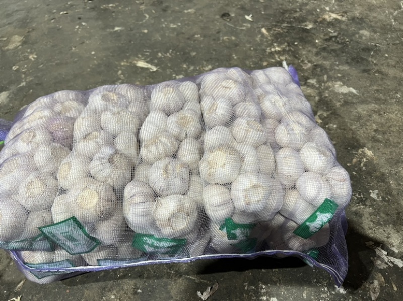 精品紫皮蒜大蒜产地直发精品加工包装边贸出口电