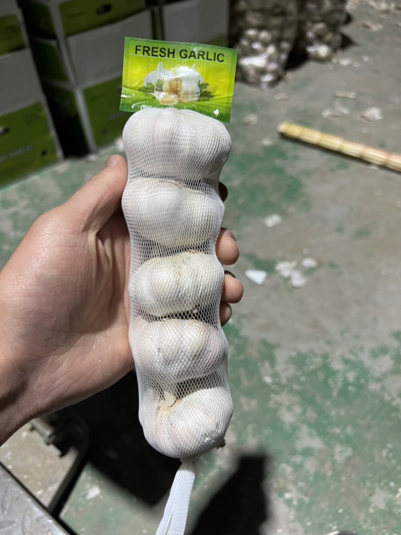 精品紫皮蒜大蒜产地直发精品加工包装边贸出口电