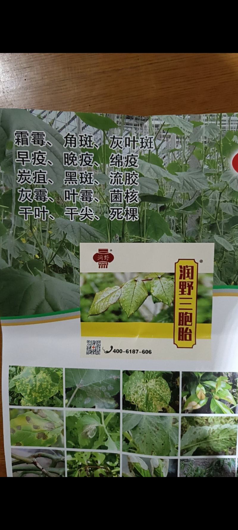 对番茄黄瓜各种真菌细菌病害一季用这一个产品可防治各种病害