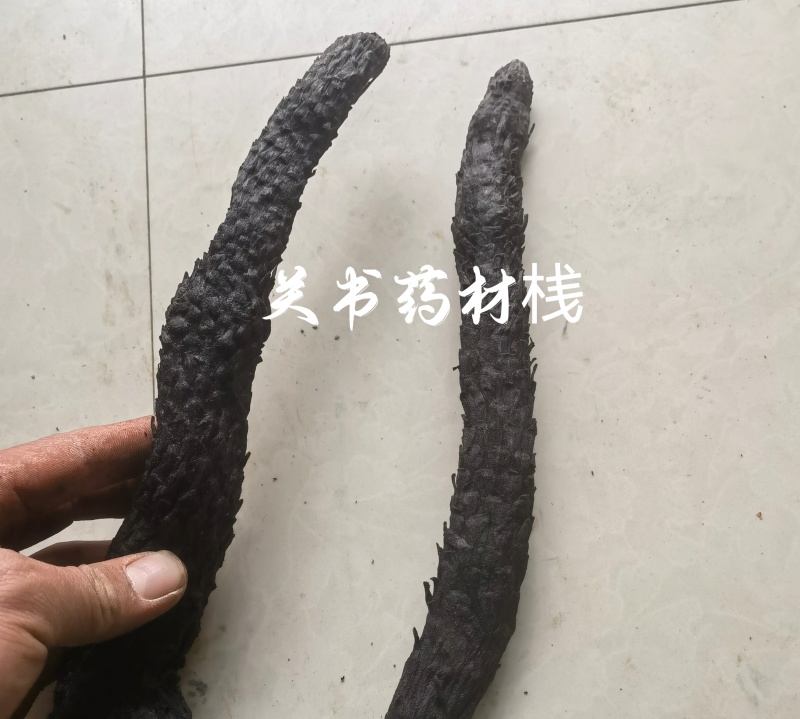 肉苁蓉，选个，甜大云关书药材桟批发中药材规格齐全
