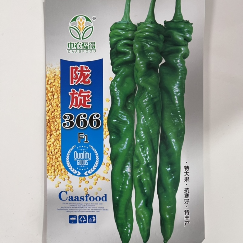 陇旋366全螺品种，杂交一代，早熟品种香辣口感，种子品种