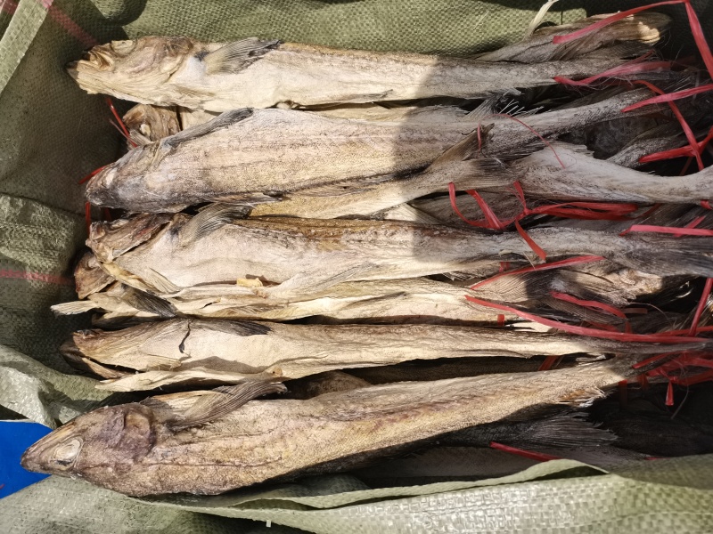40+松身带头财鱼松板柴鱼明太鱼40公分鳕鱼干鱼鱼干