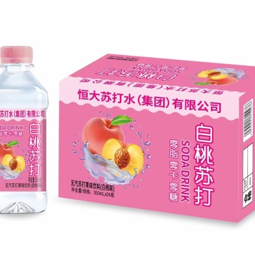 苏打水各种口味，箱装，塑包各种规格厂家直销价格美丽
