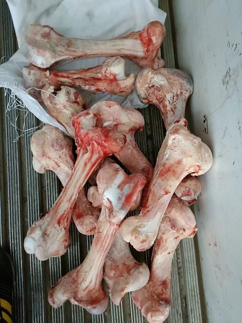 牛棒骨，熬汤必备，烧烤大骨髓，