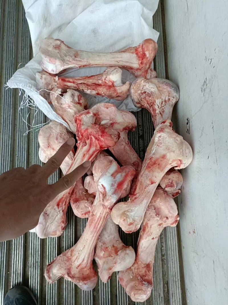 牛棒骨，熬汤必备，烧烤大骨髓，