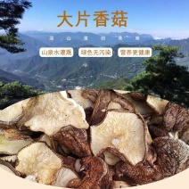 西峡冬菇:大片香菇:适合食品厂包子铺，一手货源，安全放心