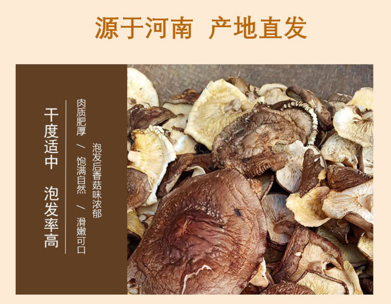 西峡冬菇:大片香菇:适合食品厂包子铺，一手货源，安全放心