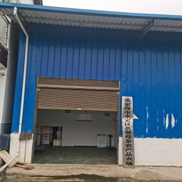 张家界莓茶
