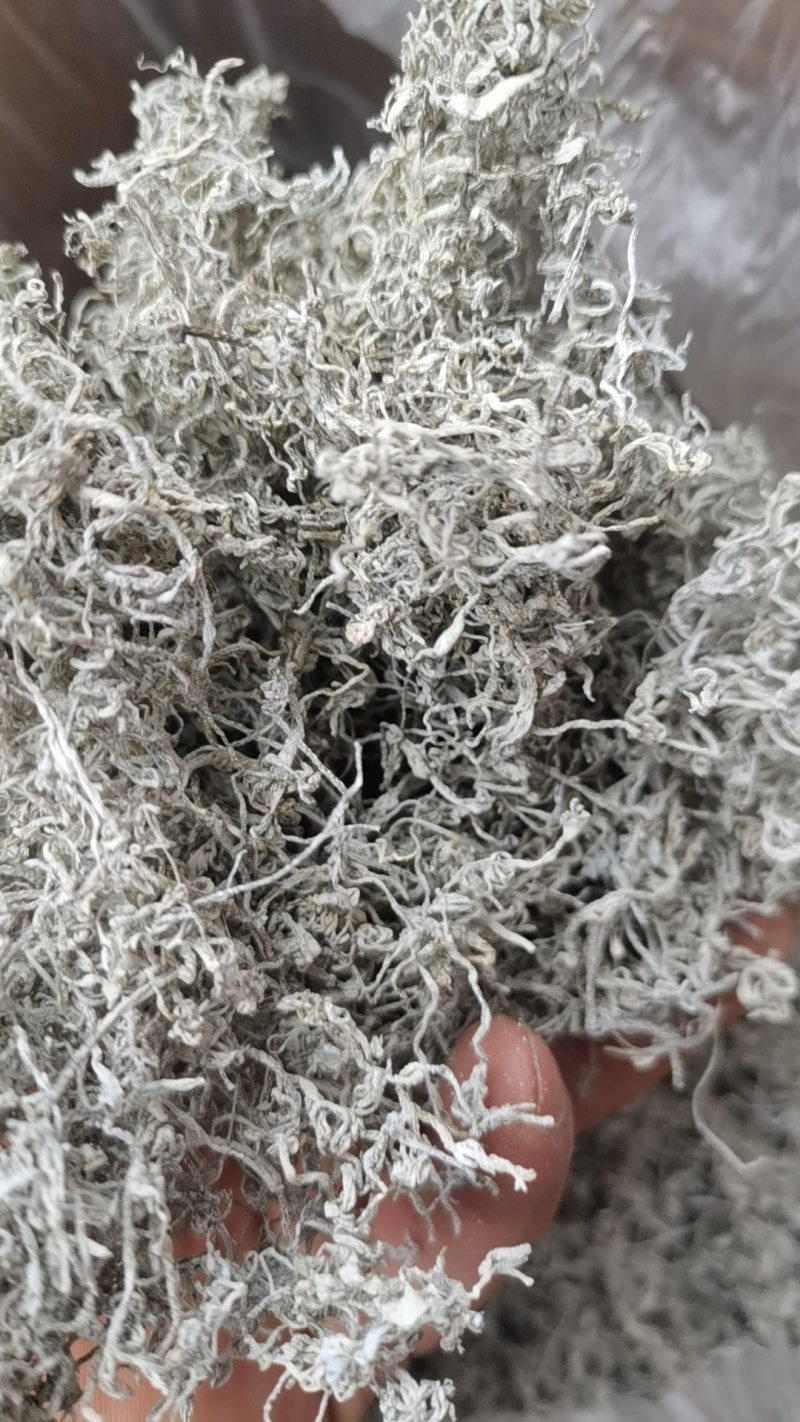张家界莓茶
