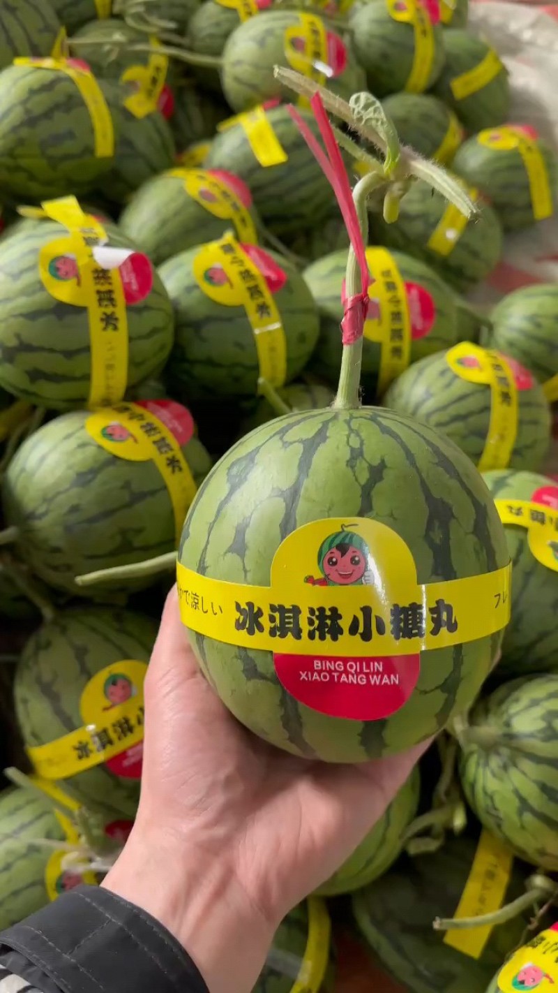 冰淇淋小糖丸2K手撕小西瓜专业供应专业品控